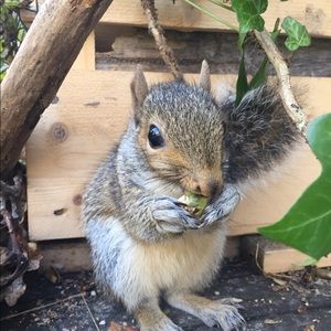 Meet your Posher, Sam